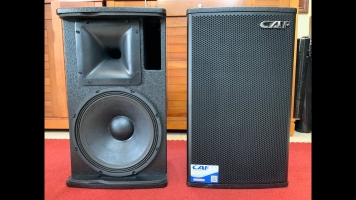 Loa CAF LV 12 Original - Cá Heo - Bass 30,1 kèn